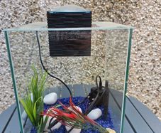 fish tank
