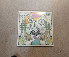 Badly Drawn Boy Banana skin shoes vinyl lp