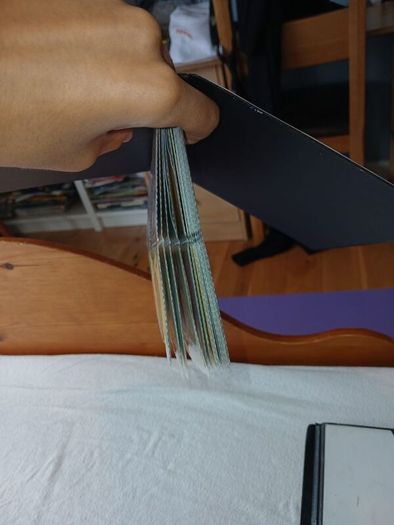 Pokemon card binder