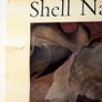 Vintage 1950's Shell Nature Study Beetles poster Image 4