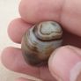 Natural Eyes Pattern Suliemani Agate Bead Amulet Image 10