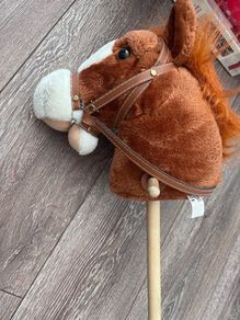 Hobby Horse