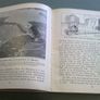 The Homeland A geography of Ireland Image 5