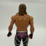wwe Dolph Ziggler action figure Image 8