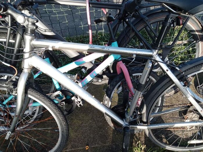 bikes