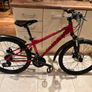 Carrera Blast Mountain Bike Image 2