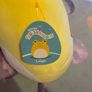 Squishmallow Image 2