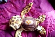Bigeye turtle teddy (Fiesta)