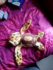 Bigeye turtle teddy (Fiesta)