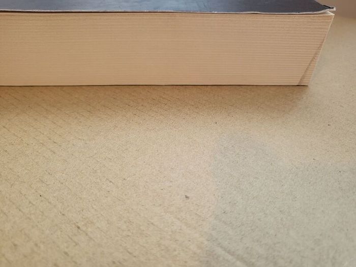 The Beautiful paperback edition by Renee ahdieh