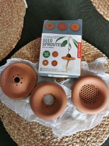 3 terracota seed sprouters