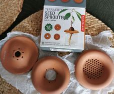 3 terracota seed sprouters