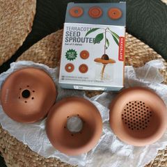 3 terracota seed sprouters
