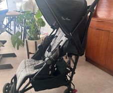 Travel buggy - umbrella fold