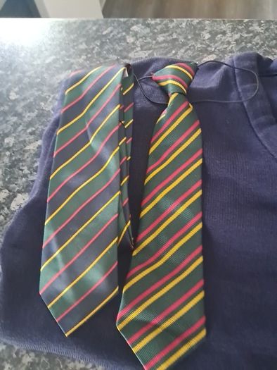 school