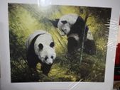 PANDA PAIR