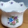 Cuban Oregano Plant with ceramic pot Image 4