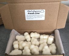 Coconut wax melts