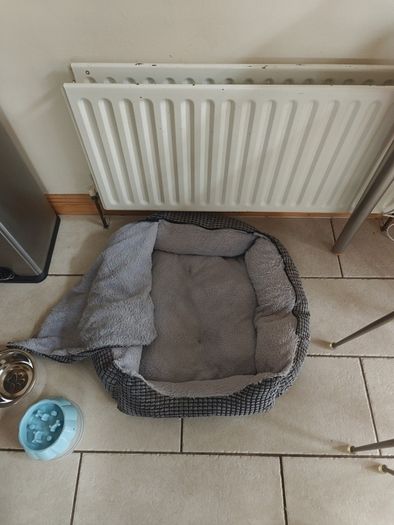 Dog bed and bowls