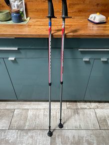 Walking poles