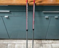 Walking poles