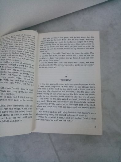 Black Beauty children's book