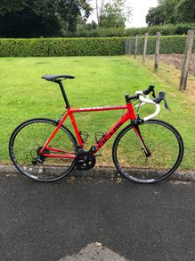 Focus Cayo Road Bike