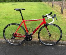 Focus Cayo Road Bike