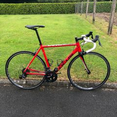 Focus Cayo Road Bike