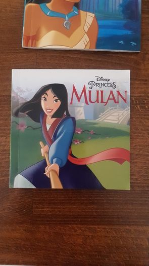 Disney princess books