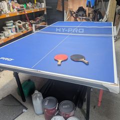 Table tennis table