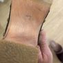 Schuh Brown Suede Clogs / Mules Image 4