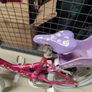 bike Image 6
