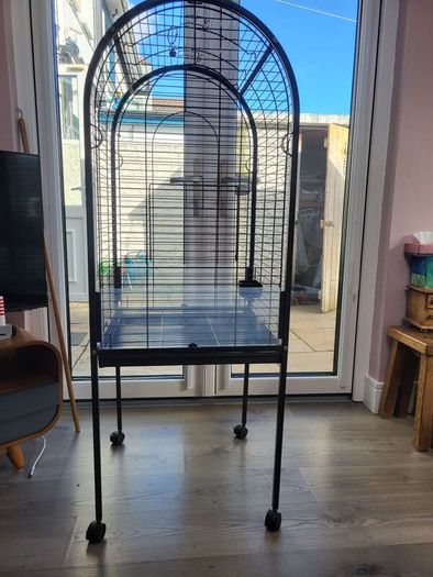 Bird Cage