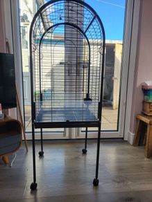 Bird Cage