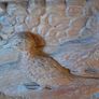 Vintage Carved Pheasants in Teak Image 2
