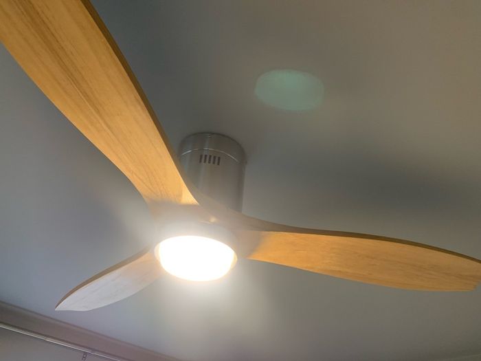 Ceiling fan with light