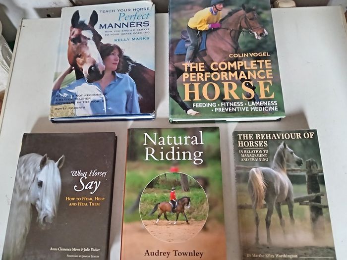 Five Horse Books