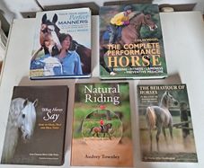 Five Horse Books