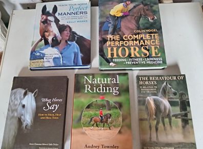 Five Horse Books