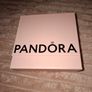 Pandora Chain Image 2
