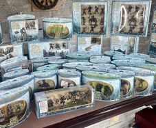 Lord of the Rings AOME play sets