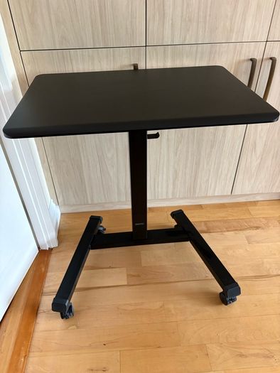 BONTEC 65x45 cm Mobile Standing Desk