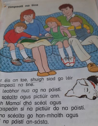 Fallons vintage Gaeilge books