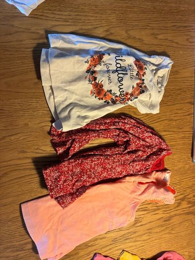12-18 Months girls clothes (bundle)