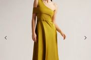 Ted Baker dress