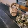 fish tank Image 8