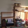 Book Shelf Image 3