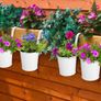 10Pack Metal Iron Hanging Flower Pots,Vase Hanging Balcony Garden Planter Holders With Detachable Handle and Drainage Hole, Outdoor Flower Pot For Fence Deck Balcony Garden Clay Home Decor (FREE POSTAGE) Image 4