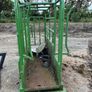 Mobile cattle crush and weighing scale Image 2